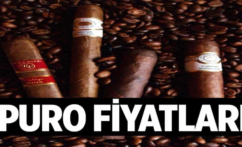 Puro Fiyatlari 1024x622I4I.jpg