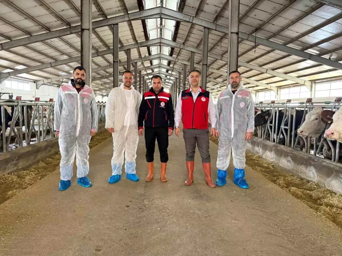 afyonkarahisarda yeni hastaliktan ari isletme sertifikasi h5C5Ai5C.jpg