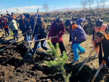 Atatürk’ü Anma Günü’nde fidan dikim etkinlikleri yapılacak ataturku anma gununde fidan dikim etkinlikleri yapilacak G36L3jzg.jpg
