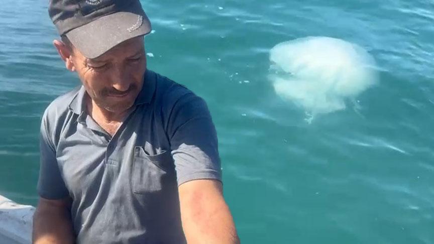 Korkutan uyarı geldi! Zehirli, kesinlikle temas etmeyin korkutan uyari geldi zehirli kesinlikle temas etmeyin cZDJ8EUH.jpg