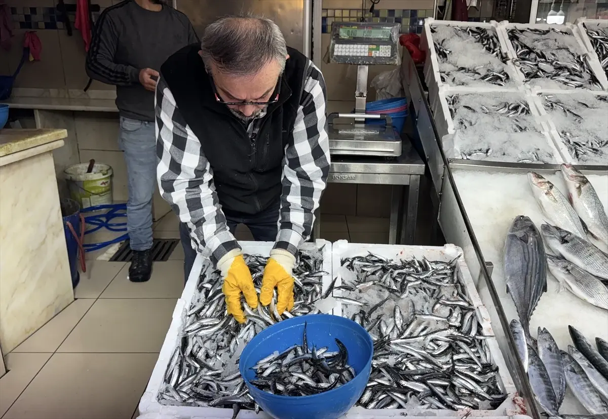 sinopta hamsi fiyatlari dustu kUY6mLku.jpg